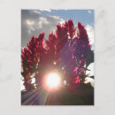 Recherche de flamme cartes postales Bleu