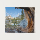 Recherche de inyo posters Lac garnet