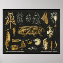 Recherche de abeille vintage posters Miel