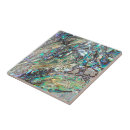 Search for abalone tiles Paua