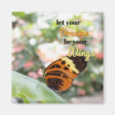 Search for orange and black magnets Butterfly