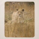 Search for lioness blankets Wildlife