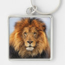 Search for safari jungle animal keychains Africa