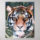 Search for animal posters Tiger