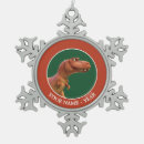 Search for the good dinosaur ornaments Trex