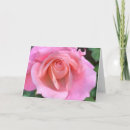 Search for tea rose cards Beautiful