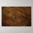 Search for wood pattern posters Surface