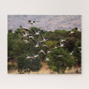 Recherche de cigognes puzzles Animal