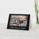 Recherche de chat triste cartes postales Mignon