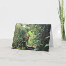 Search for rainforest cards Primates