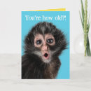 Search for surprise birthday cards Funny