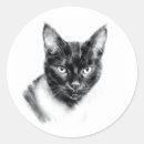 Search for crazy cat stickers Illustration