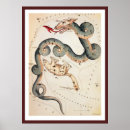 Search for ursa minor posters Astronomy