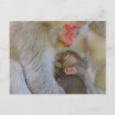 Search for maternity postcards Mother and child