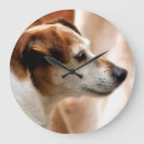 Search for jack russell clocks Terrier