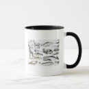 Search for marine mammal mugs Aquatic