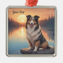 Recherche de colley ornements Chien