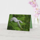 Search for flower blank cards Elegant