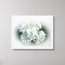 Search for hydrangea canvas prints Garden