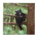 Search for black bear tiles Animal