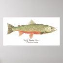 Recherche de fly fishing posters Trout