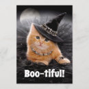 Search for cat humor invitations Witch
