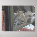 Search for gray squirrel posters Portrait