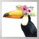 Recherche de toucan posters Fleur