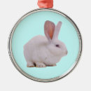 Search for easter ornaments Animal