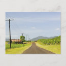 Recherche de arbre fruitier cartes postales Verger