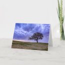 Recherche de arbre solitaire Coucher de soleil