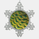 Recherche de plumes de paon ornements Nature