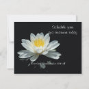 Search for lilypad invitations Water lily