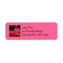 Recherche de pagoda Rose