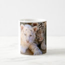 Search for tiger print mugs Photograph