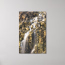 Search for efficient art Photography
