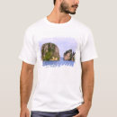 Search for ao clothing Adventure