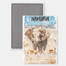 Search for namibia magnets Africa