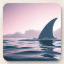 Search for shark coasters Surfer