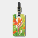 Search for bird of paradise gifts Colourful