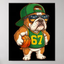 Search for the alpha posters Design