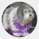 Recherche de chien pourpre autocollants Chiot