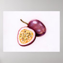 Search for dragon fruit art Illustration