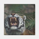 Search for threat magnets Wildlife