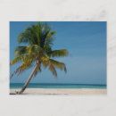 Search for palm beach postcards Blue