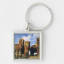 Search for domesticated keychains Cute