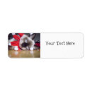 Search for ragdoll cat return address labels Cats