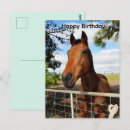 Recherche de cheval de course vœux cartes Pour tous