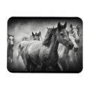 Recherche de cheval blanc noir magnets Équestre