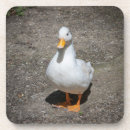 Recherche de canard mignon dessous de verres Oiseaux